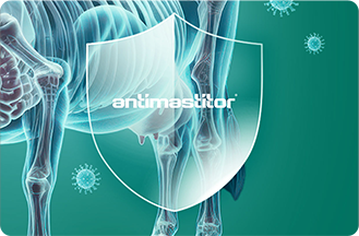 Marka Başarı Hikayesi